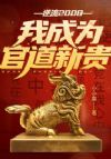 逆流2008,我成为官道新贵!