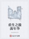 重生之激荡年华